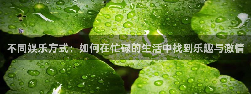 蓝狮在线登录：不同娱乐方式：如何在忙碌的生活中找到乐趣与激情