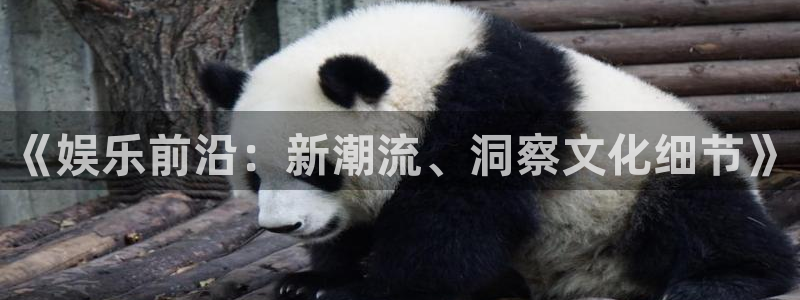 蓝狮在线：《娱乐前沿：新潮流、洞察文化细节》