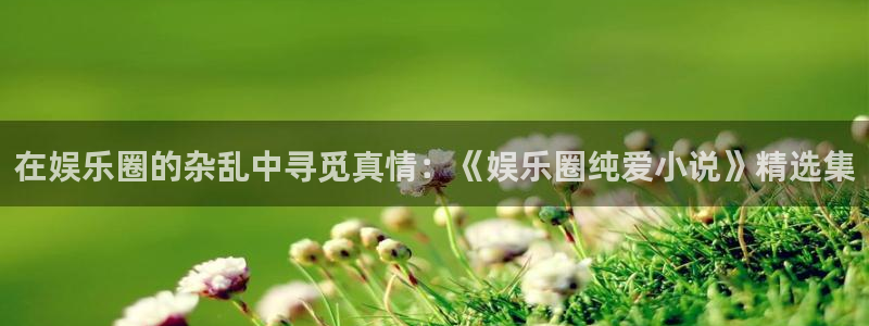 蓝狮在线平台：在娱乐圈的杂乱中寻觅真情：《娱乐圈纯爱小说》精选集