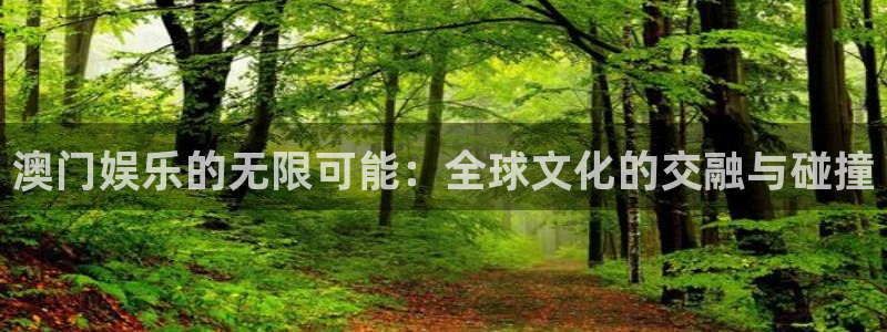 蓝狮在线登录：澳门娱乐的无限可能：全球文化的交融与碰撞