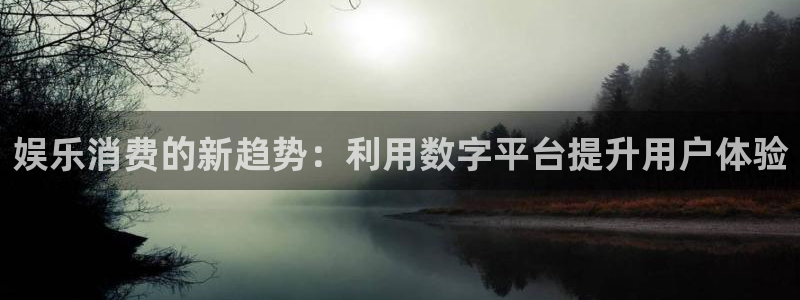 蓝狮在线注册开户：娱乐消费的新趋势：利用数字平台提升用户体验