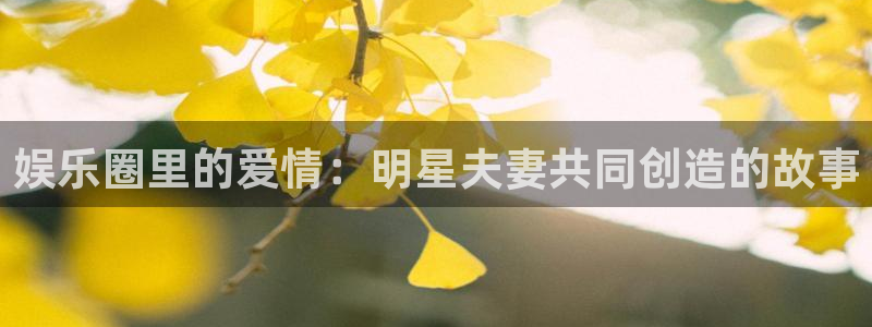 蓝狮在线注册开户：娱乐圈里的爱情：明星夫妻共同创造的故事