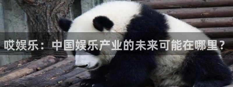 蓝狮在线注册平台官网：哎娱乐：中国娱乐产业的未来可能在哪里？