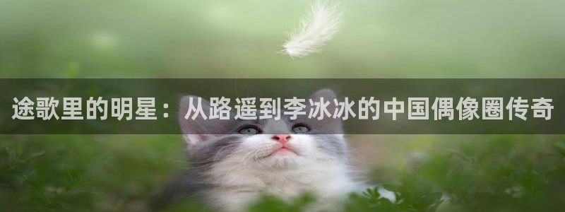 蓝狮在线彩票官网：途歌里的明星：从路遥到李冰冰的中国偶像圈传奇